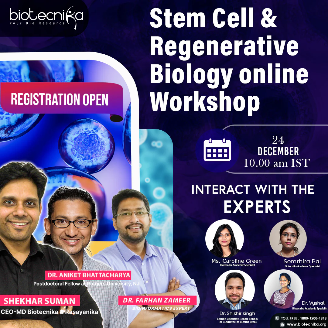 Workshops & Webinars
